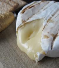 Сыр шевр: особенности продукта и рецепт приготовления форма для прессования сыра